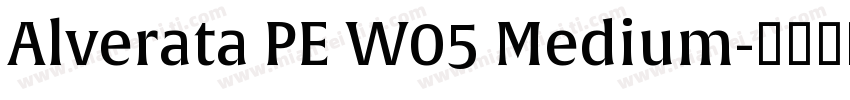 Alverata PE W05 Medium字体转换